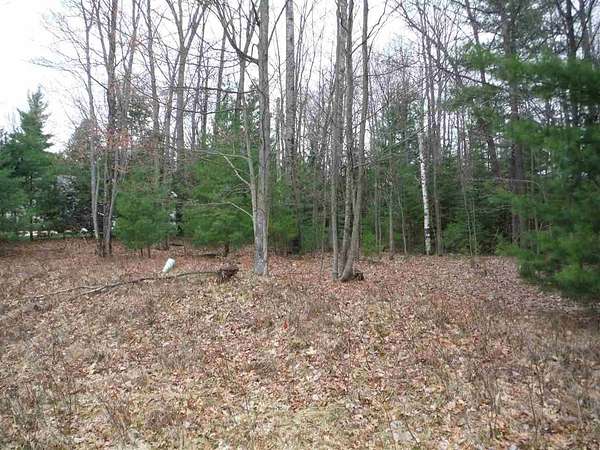 0.61 Acres of Residential Land for Sale in Prudenville, Michigan