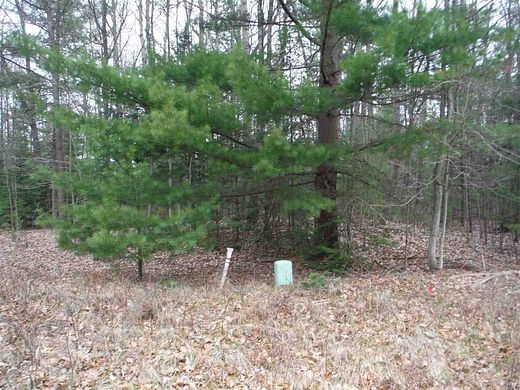Residential Land for Sale in Prudenville, Michigan