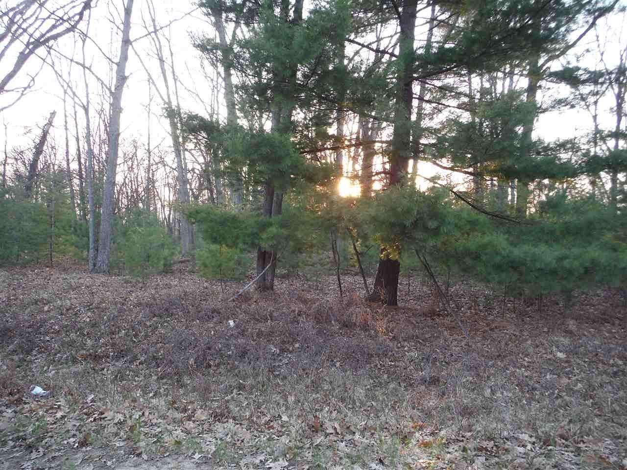 0.44 Acres of Residential Land for Sale in Prudenville, Michigan