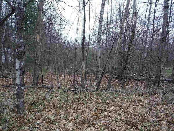 0.55 Acres of Residential Land for Sale in Prudenville, Michigan