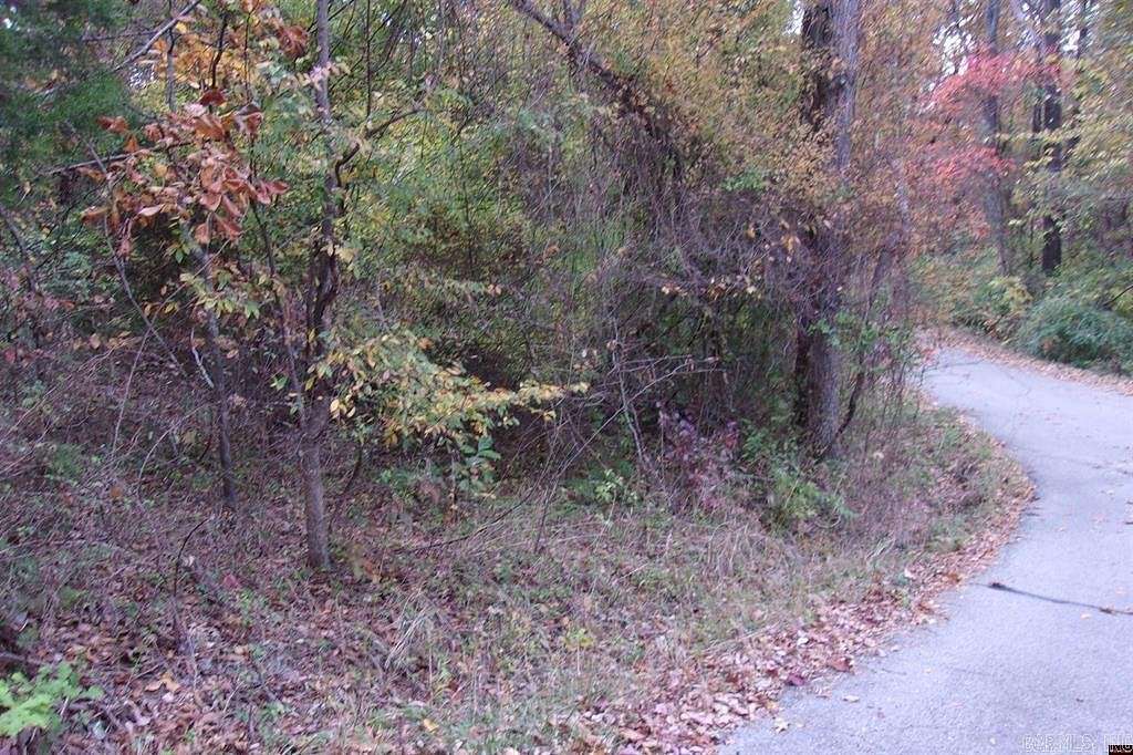 0.318 Acres of Residential Land for Sale in Lakeview, Arkansas