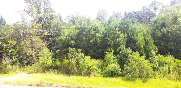 2 Acres of Commercial Land for Sale in Lumberton, Texas