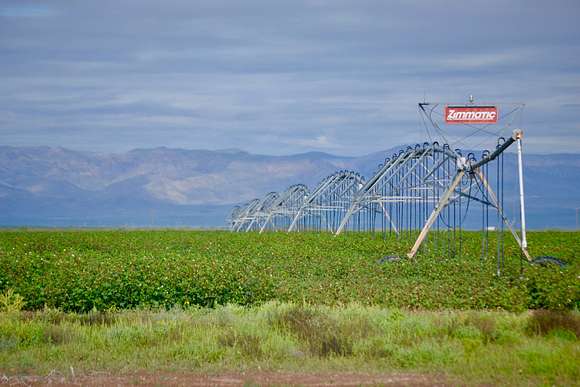 3,555 Acres of Agricultural Land for Sale in Van Horn, Texas