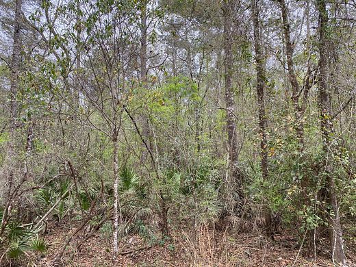 1.5 Acres of Residential Land for Sale in Mayo, Florida