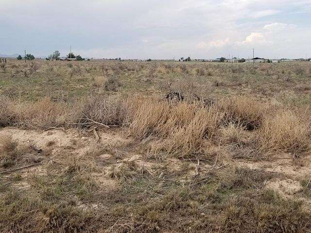 6 Acres of Recreational Land & Farm for Sale in McIntosh, New Mexico