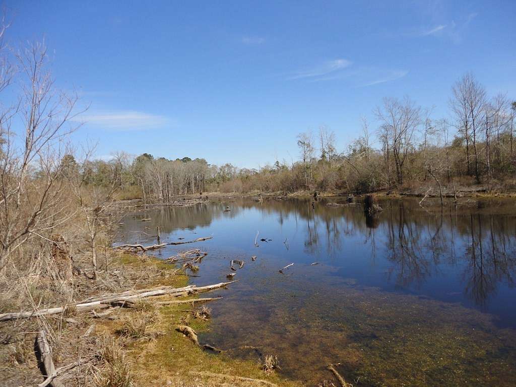 196 Acres of Land for Sale in Petal, Mississippi
