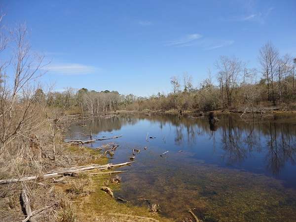 196 Acres of Land for Sale in Petal, Mississippi