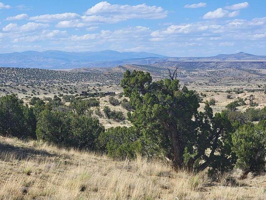 40 Acres of Recreational Land & Farm for Sale in Madrid, New Mexico