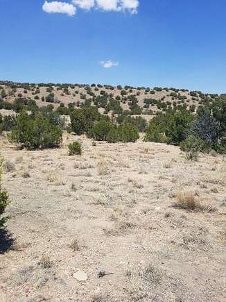40 Acres of Recreational Land & Farm for Sale in Madrid, New Mexico