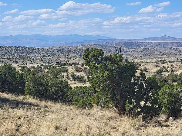 40 Acres of Recreational Land & Farm for Sale in Madrid, New Mexico
