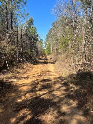 70 Acres of Land for Sale in Rosston, Arkansas