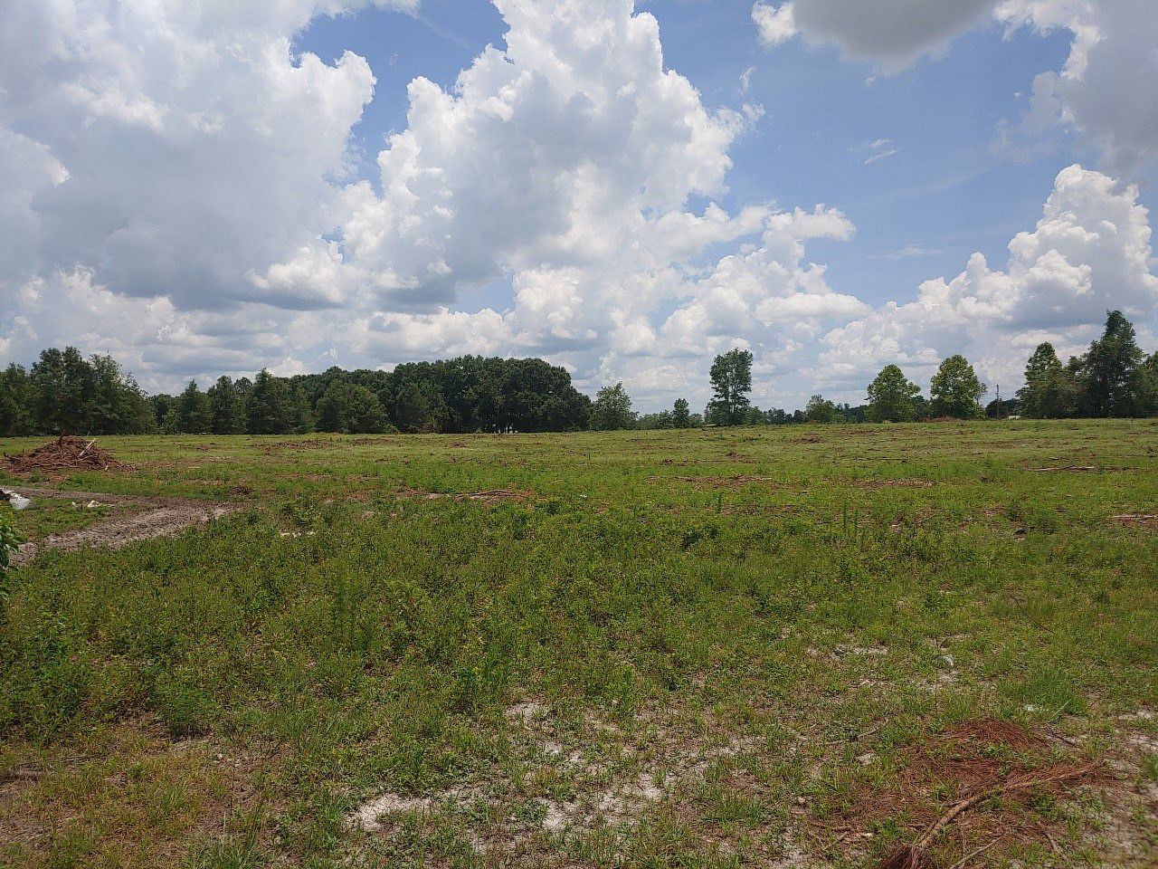 62.3 Acres of Land for Sale in Lake City, Florida