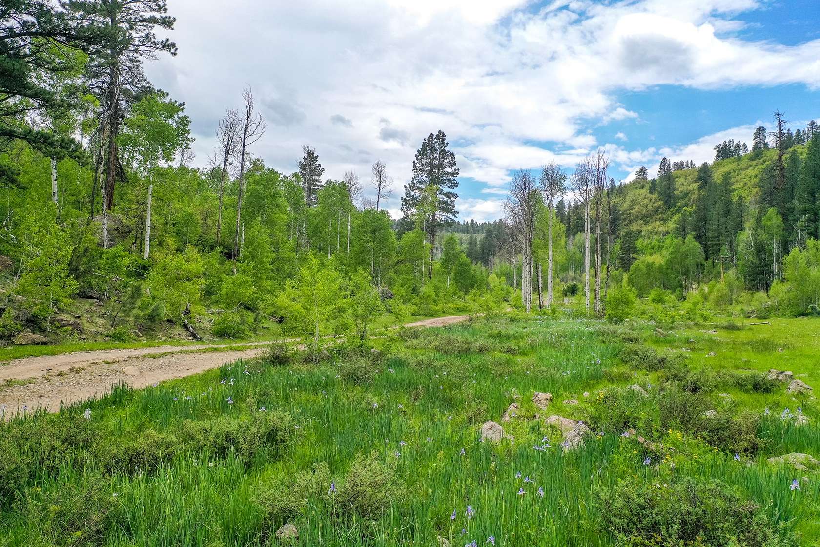 36.14 Acres of Recreational Land & Farm for Sale in Dolores, Colorado