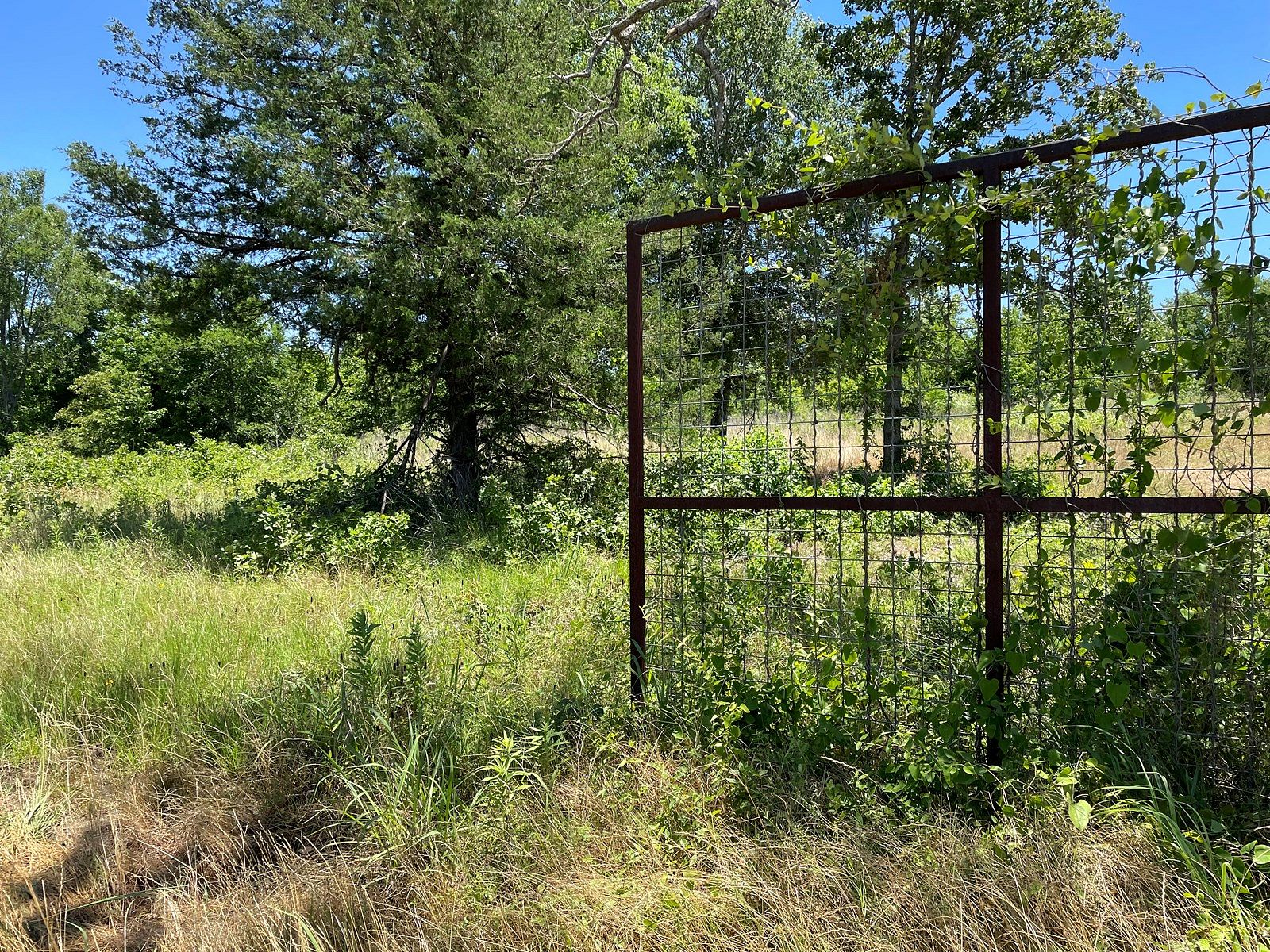 10.2 Acres of Land for Sale in Alto, Texas