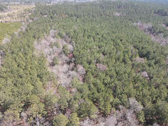 40 Acres of Land for Sale in Prescott, Arkansas