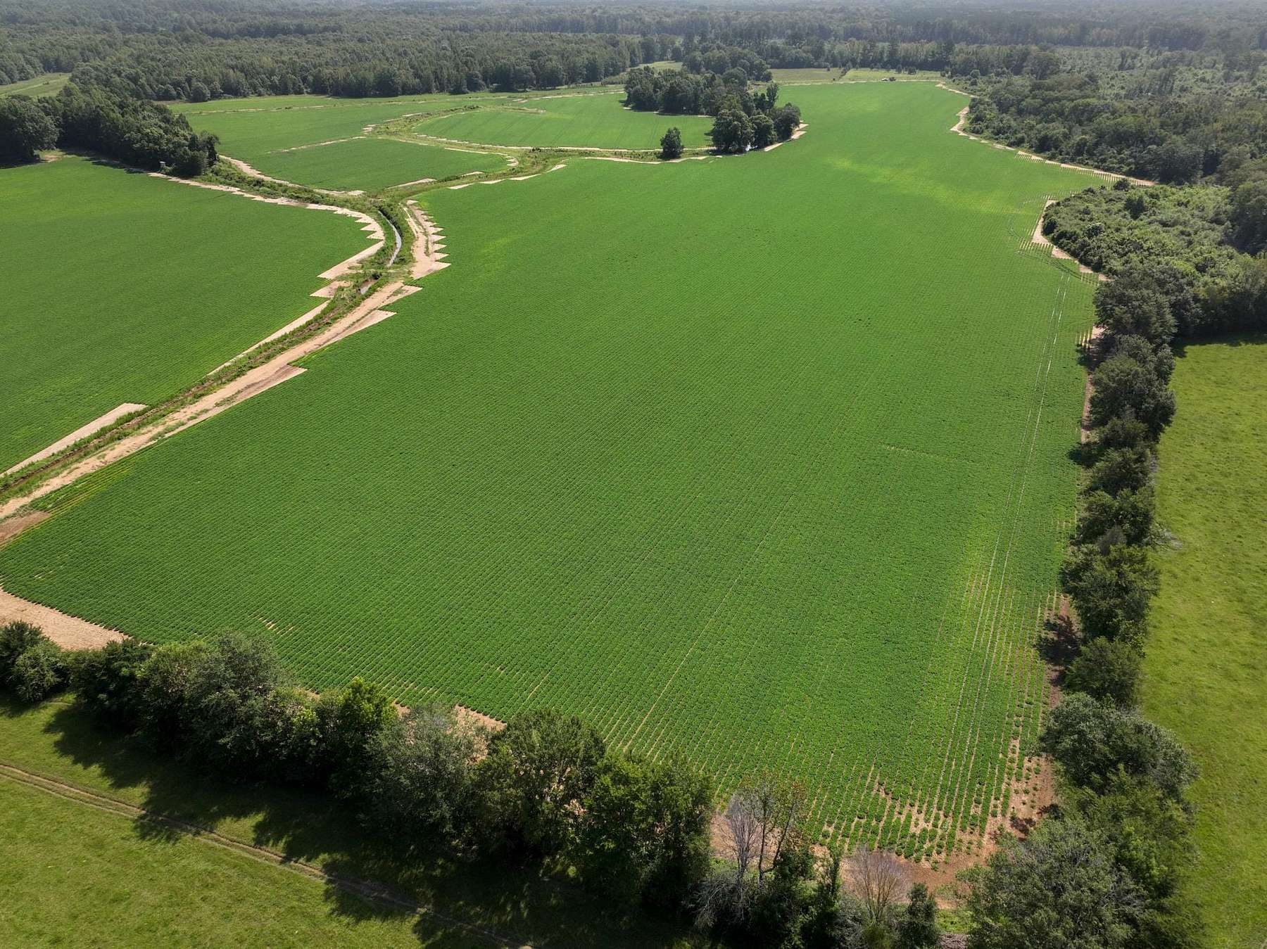 147 Acres of Recreational Land & Farm for Sale in Hamilton, Mississippi