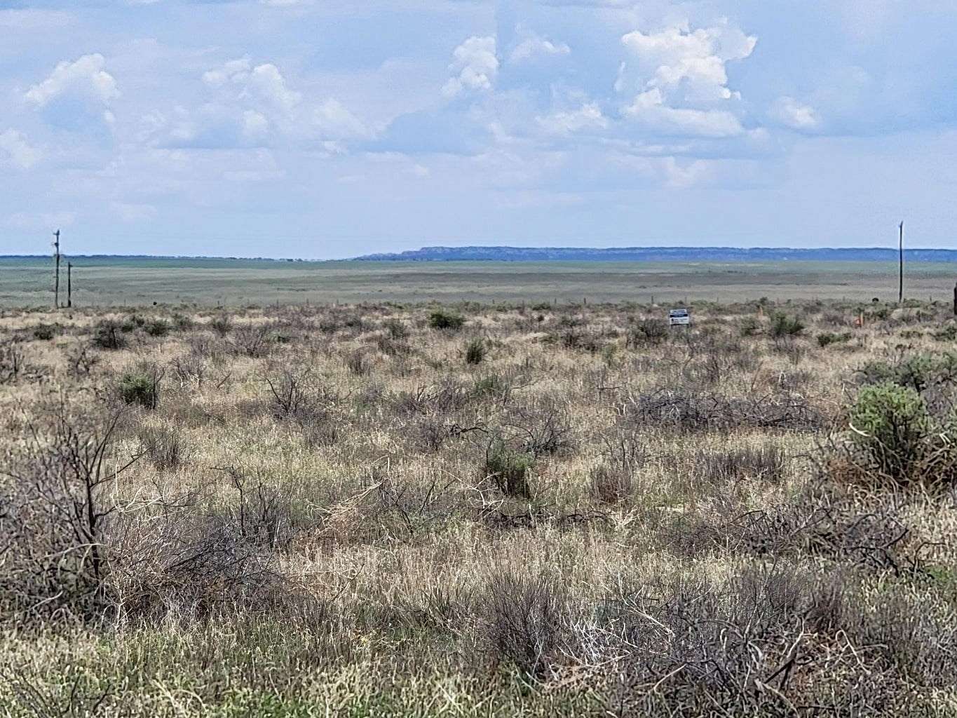 60 Acres of Land for Sale in Estancia, New Mexico