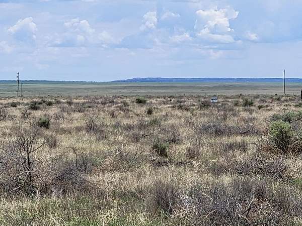 60 Acres of Land for Sale in Estancia, New Mexico