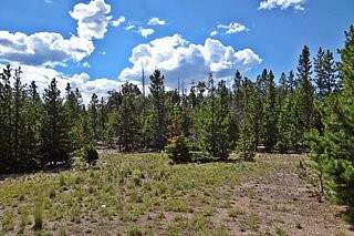 1.39 Acres of Residential Land for Sale in Red Feather Lakes, Colorado