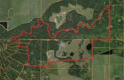 370 Acres of Recreational Land & Farm for Sale in Zolfo Springs, Florida