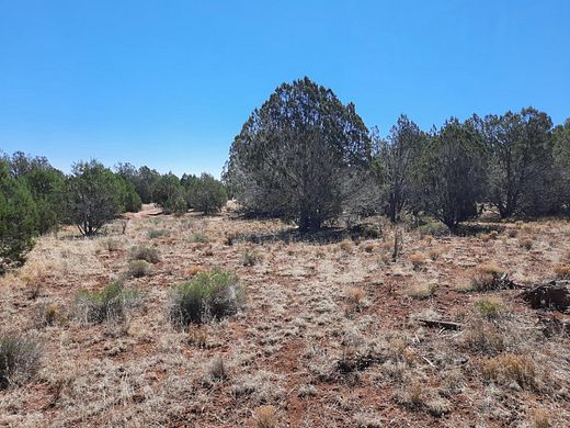 160 Acres of Recreational Land & Farm for Sale in Seligman, Arizona