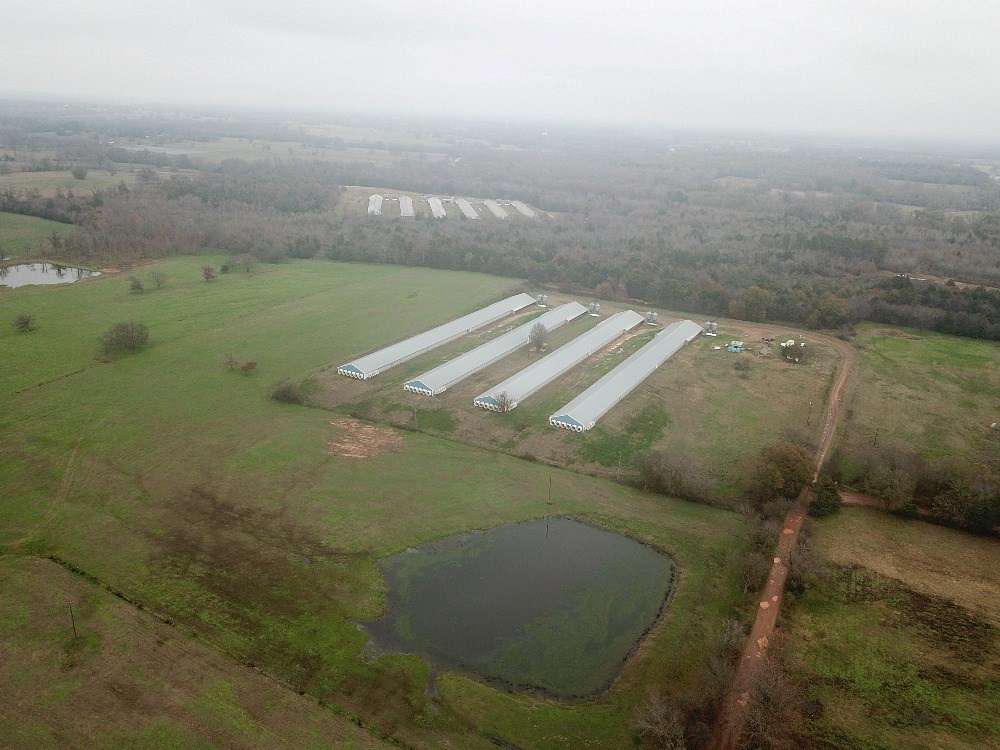 18.2 Acres of Improved Land for Sale in Pickton, Texas