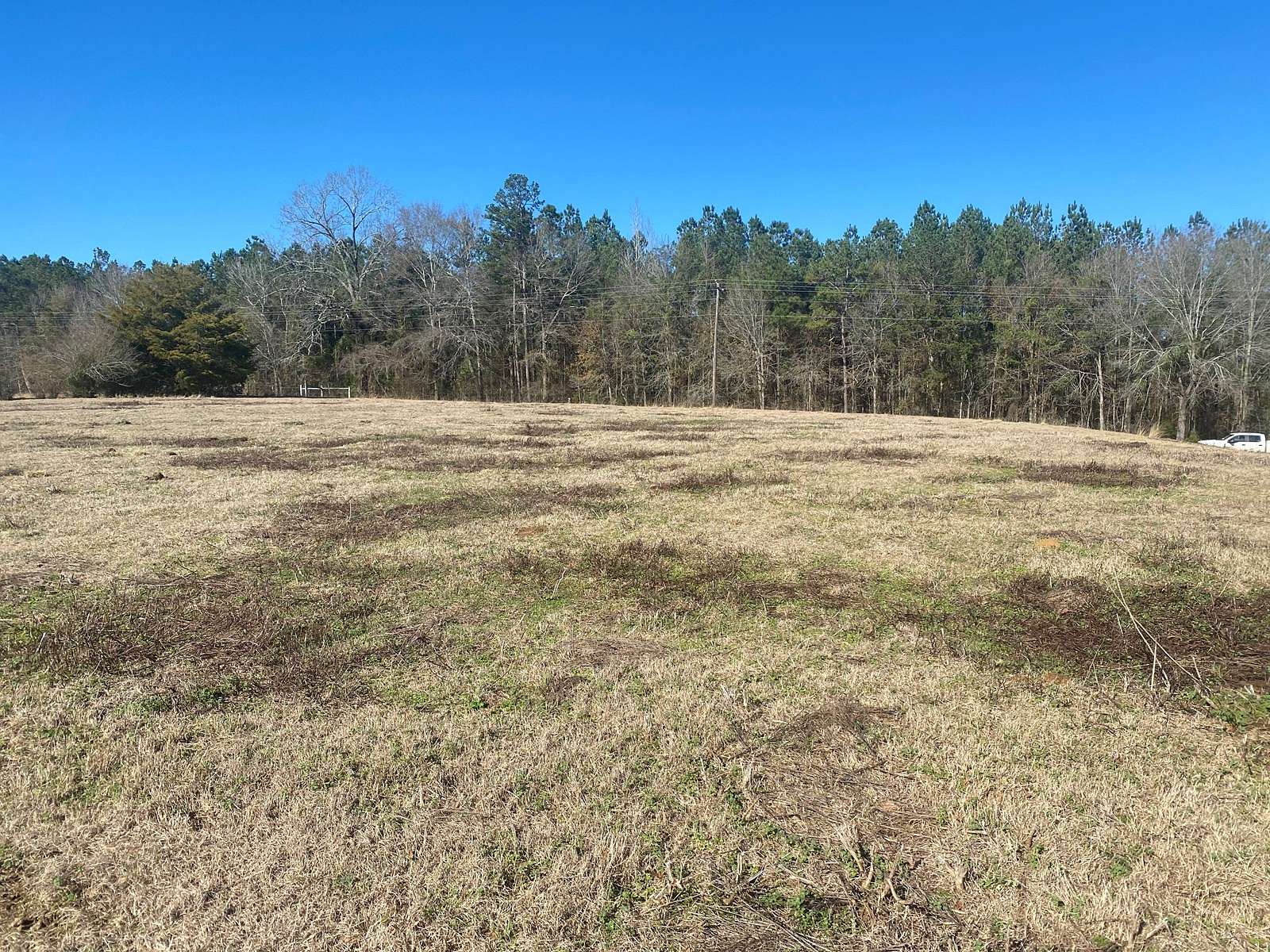 5 Acres of Land for Sale in Glenwood, Alabama