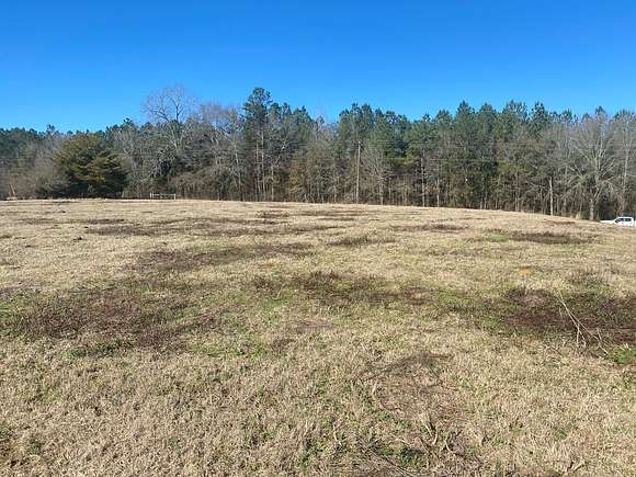5 Acres of Land for Sale in Glenwood, Alabama