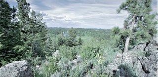 0.26 Acres of Land for Sale in Red Feather Lakes, Colorado