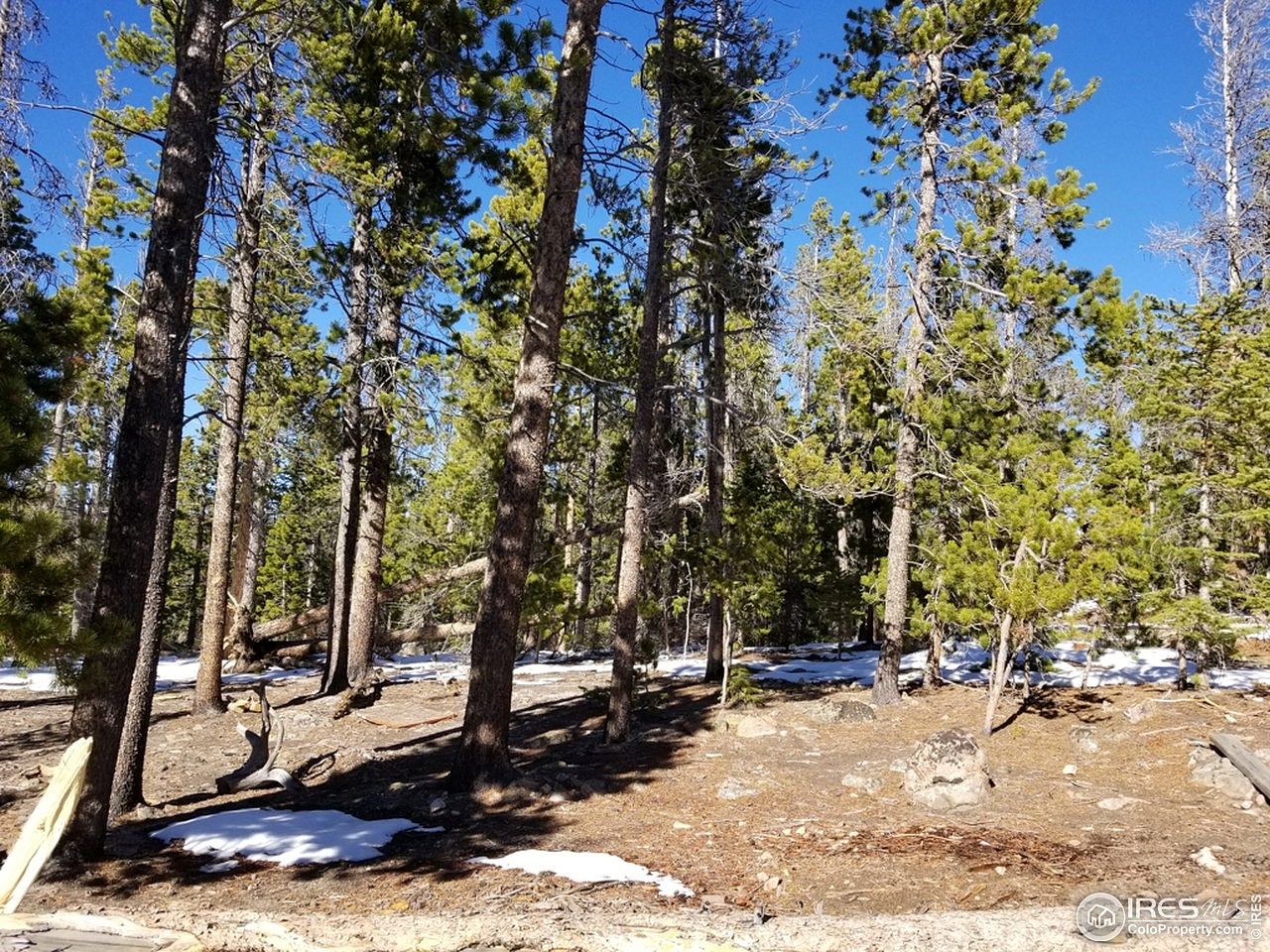 1.7 Acres of Land for Sale in Red Feather Lakes, Colorado