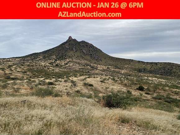 41 Acres of Recreational Land & Farm for Sale in Douglas, Arizona