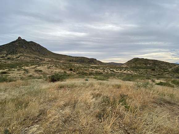 41 Acres of Recreational Land & Farm for Sale in Douglas, Arizona