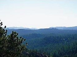 0.37 Acres of Land for Sale in Red Feather Lakes, Colorado
