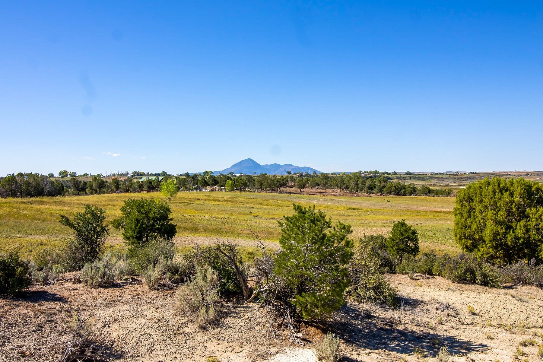 69.4 Acres of Recreational Land & Farm for Sale in Lewis, Colorado