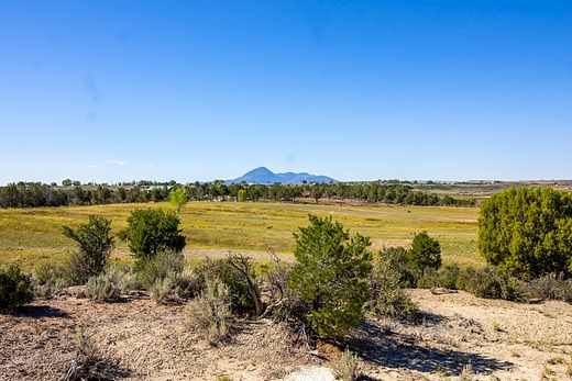 69.4 Acres of Land for Sale in Lewis, Colorado