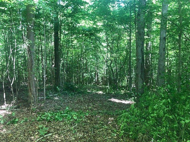 8.4 Acres of Land for Sale in Primm Springs, Tennessee