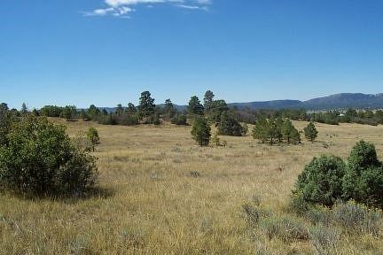 10 Acres of Recreational Land & Farm for Sale in Chama, New Mexico