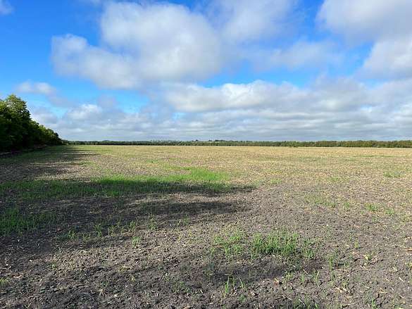 95 Acres of Land for Sale in Rogers, Texas