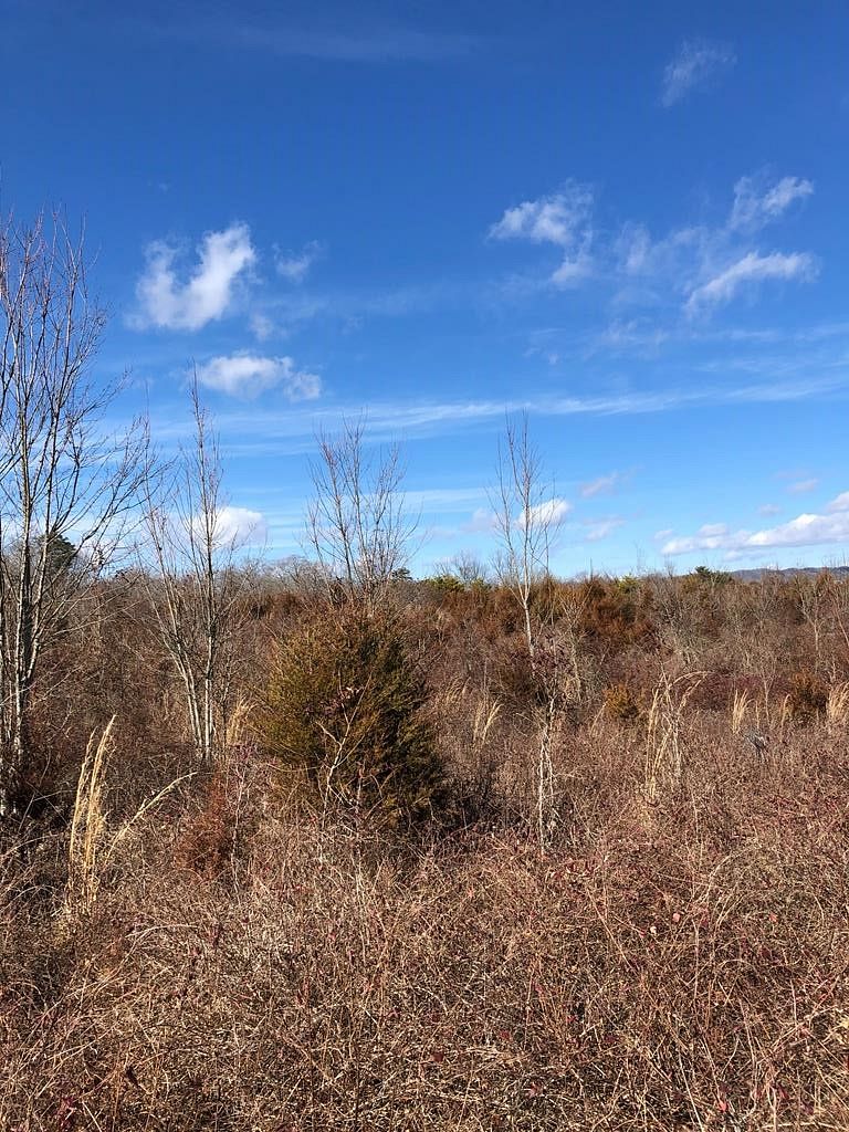 46 Acres of Land for Sale in Mosheim, Tennessee