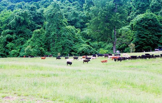 156 Acres of Land with Home for Sale in Timbo, Arkansas