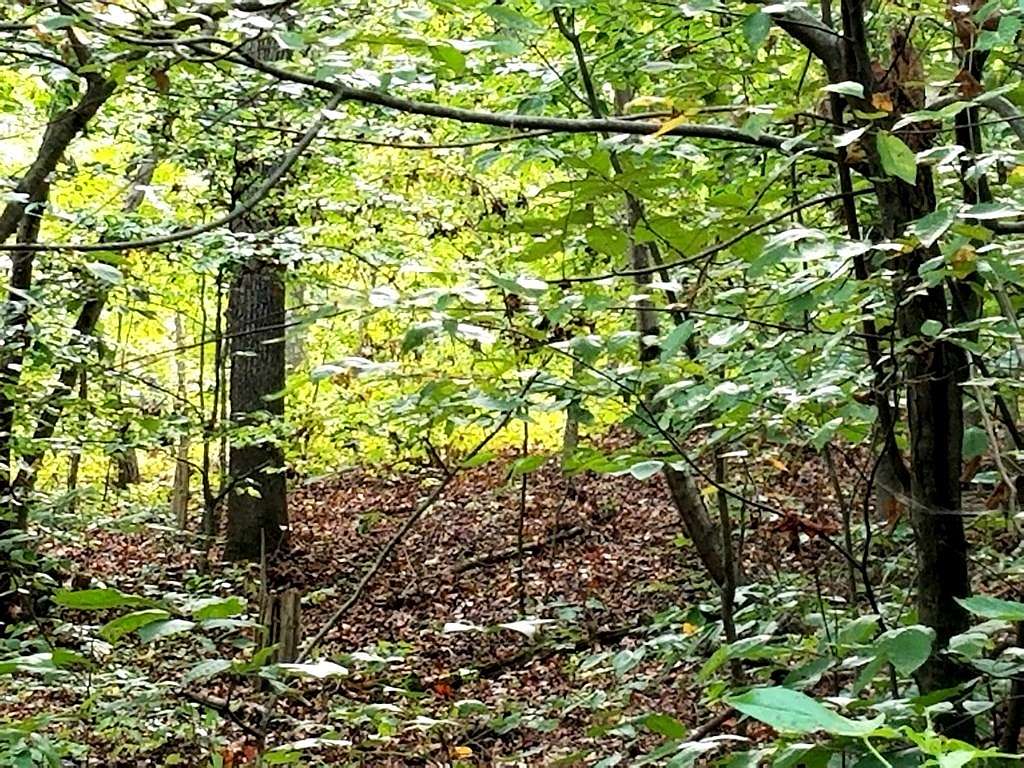 0.43 Acres of Land for Sale in Clarksville, Virginia