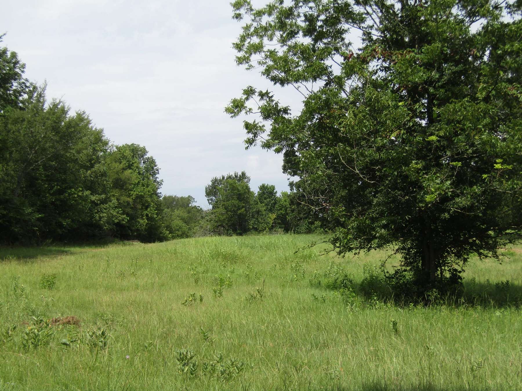 39.9 Acres of Land for Sale in Hugo, Oklahoma