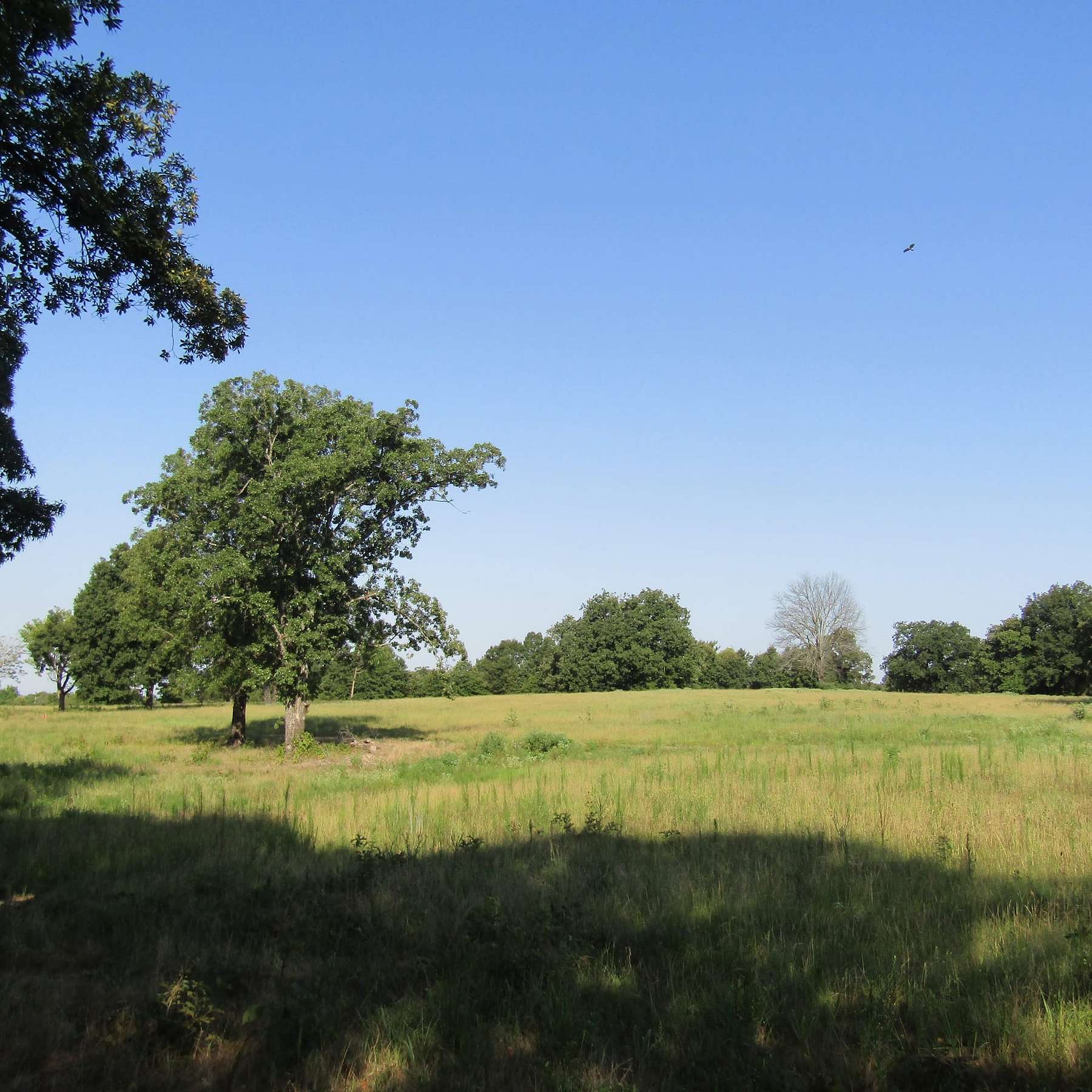 32.2 Acres of Land for Sale in Hugo, Oklahoma