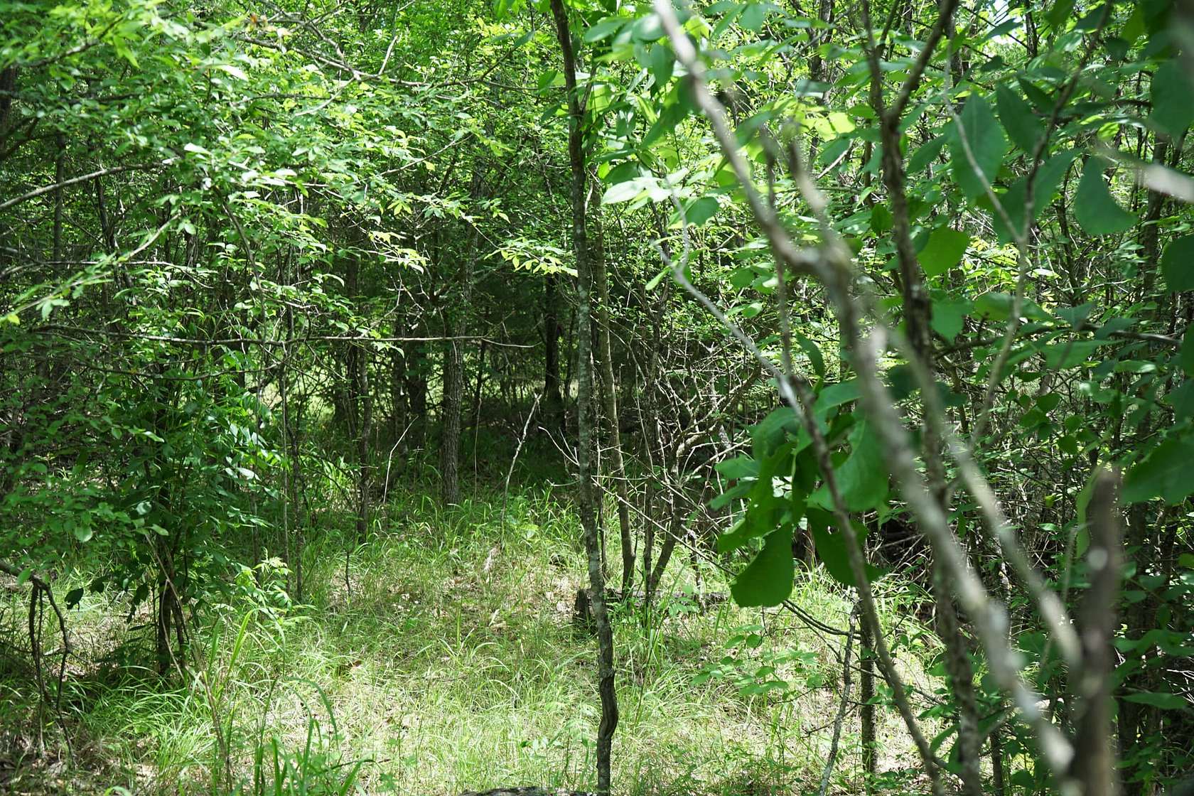 39 Acres of Land for Sale in Hugo, Oklahoma