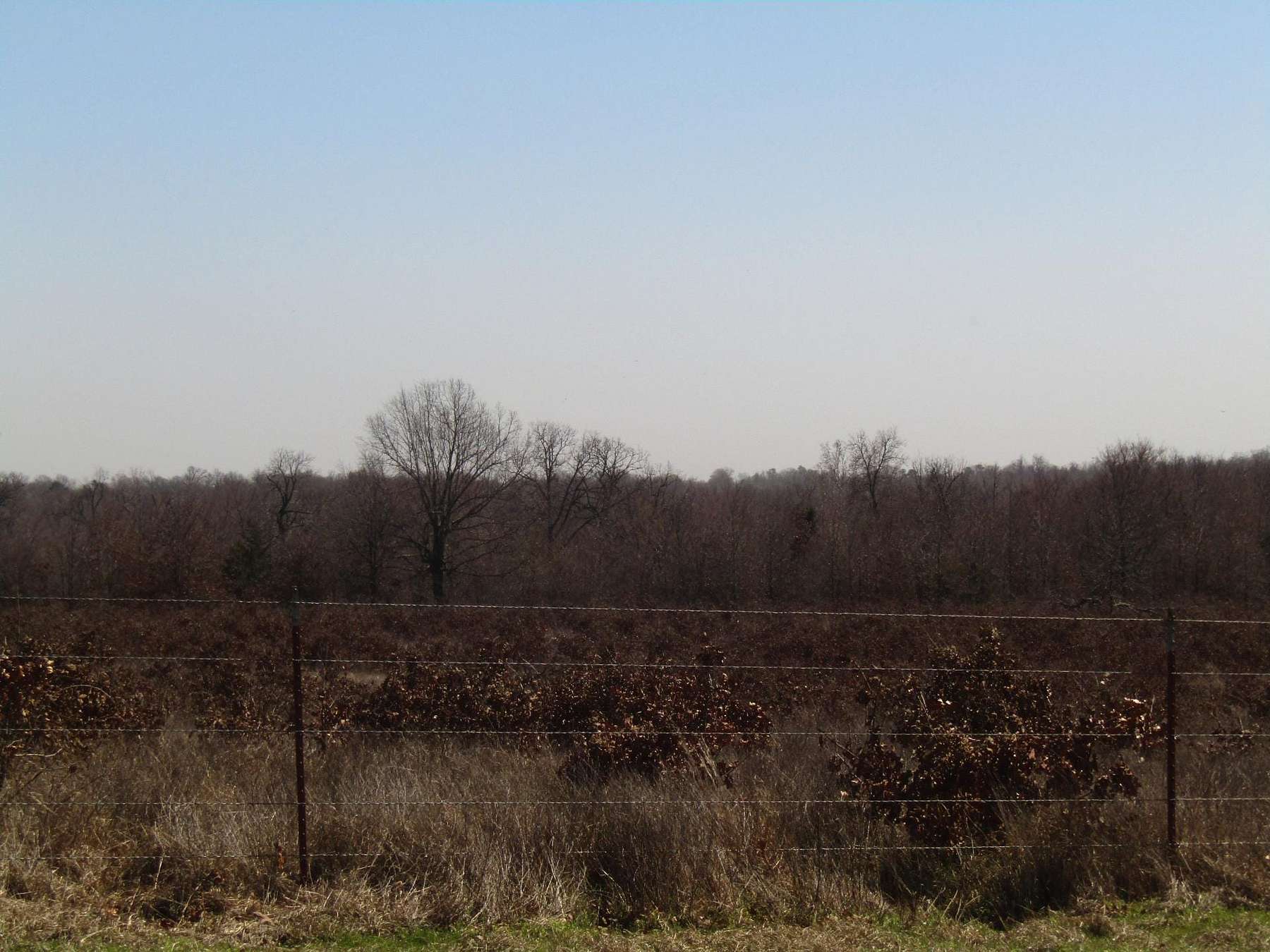 40 Acres Of Land For Sale In Hugo, Oklahoma - LandSearch