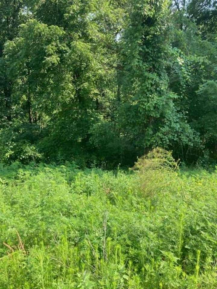 2 Acres of Residential Land for Sale in Sherrill, Iowa