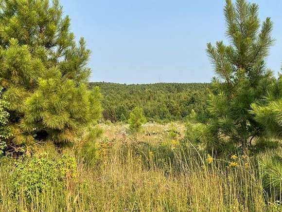 258 Acres of Land for Sale in Huntingdon, Tennessee