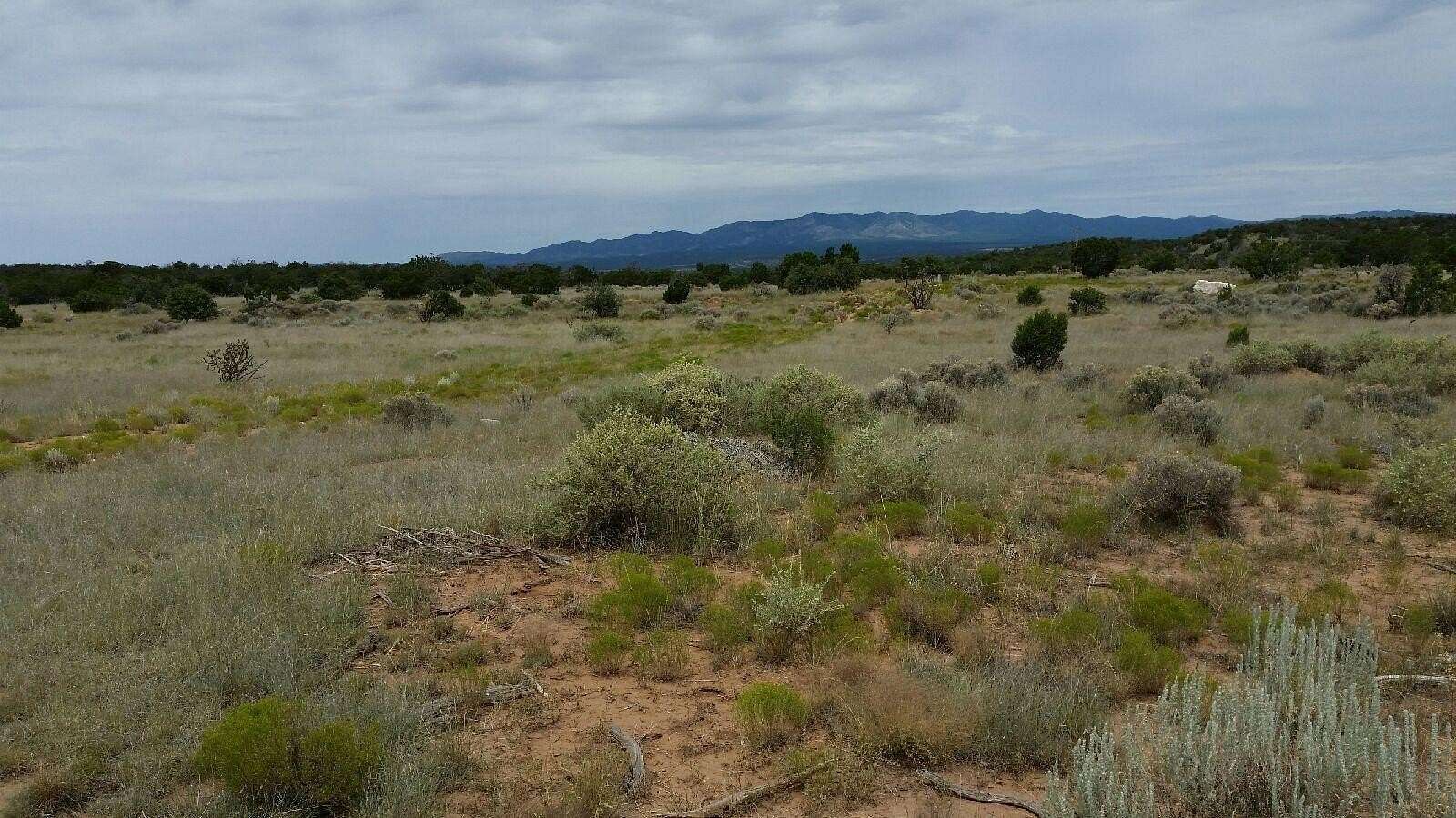 20 Acres of Land for Sale in Mountainair, New Mexico