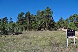 2.64 Acres of Land for Sale in Red Feather Lakes, Colorado