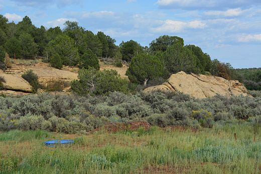 20 Acres of Recreational Land & Farm for Sale in Hesperus, Colorado